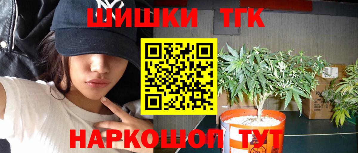 Бошки Шишки семена Братск